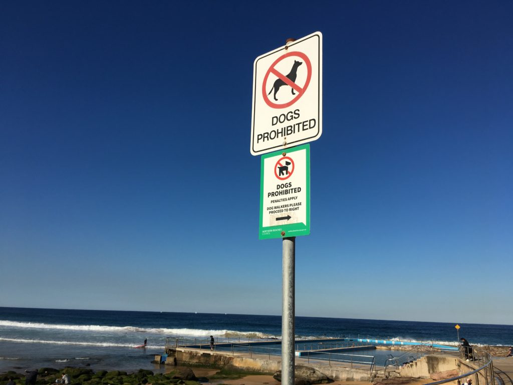 Dog's Prohibited Sign. Follow Directions to Climb Staircase to Boardwalk