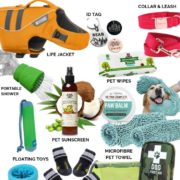 DOG BEACH ESSENTIALS