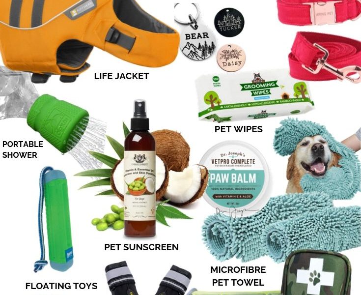 DOG BEACH ESSENTIALS
