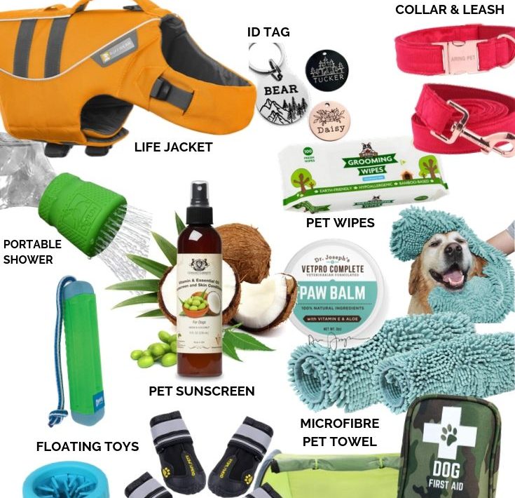 DOG BEACH ESSENTIALS