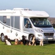 rv dog breeds