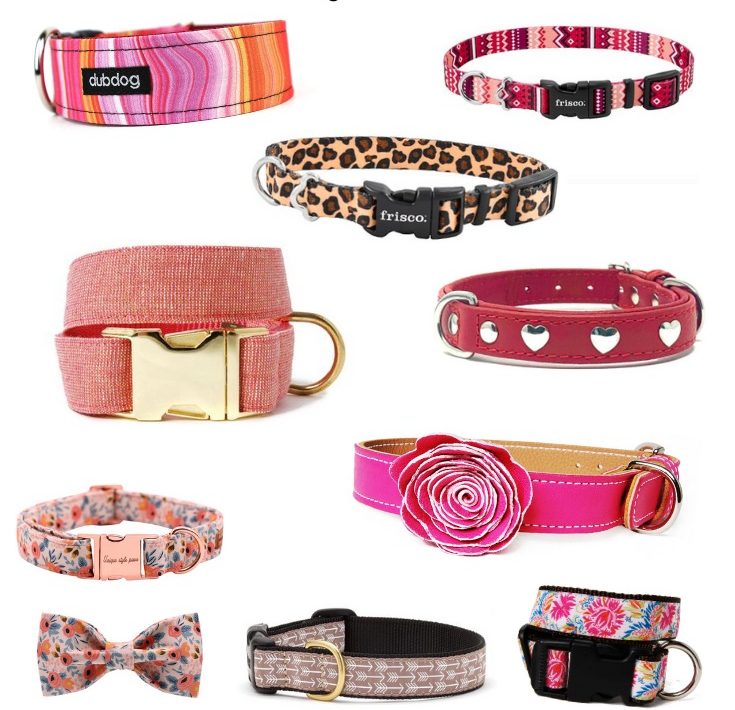 cute dog collars